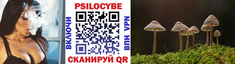 Галлюциногенные грибы Psilocybe  Липецк 