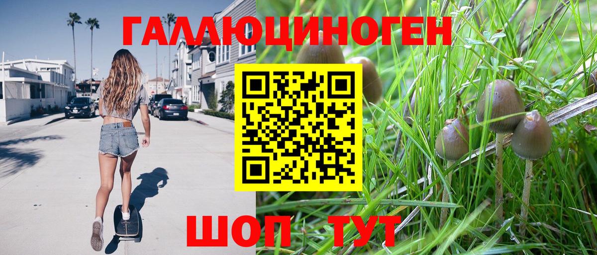 Липецк  Псилоцибиновые грибы мухоморы  Галлюциногенные грибы мухоморы  купить   Вход с VPN 